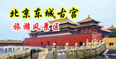 嗦鸡巴操逼中国北京-东城古宫旅游风景区