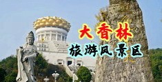 狂插淫穴视频中国浙江-绍兴大香林旅游风景区